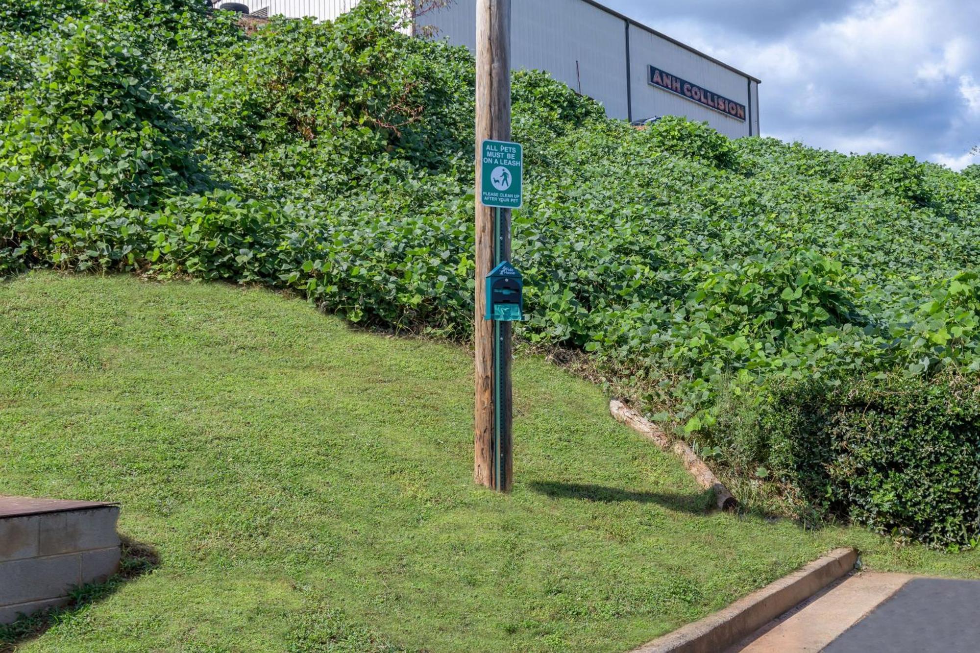Motel 6 Dawsonville Ga North Ga Premium Outlets Ngoại thất bức ảnh